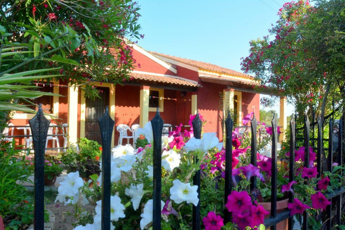 Issos Apartments Agios Georgios  Exteriör bild